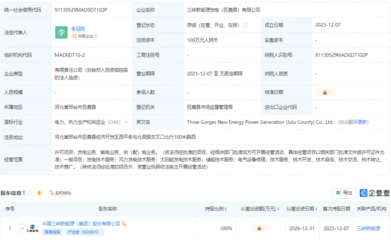 供（配）电业务 现代社会的能源脉搏